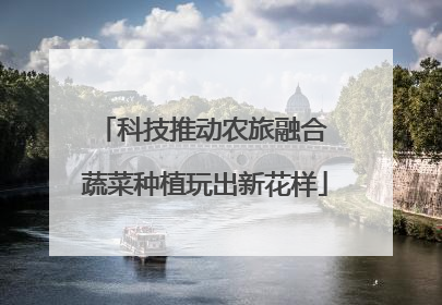 科技推动农旅融合 蔬菜种植玩出新花样